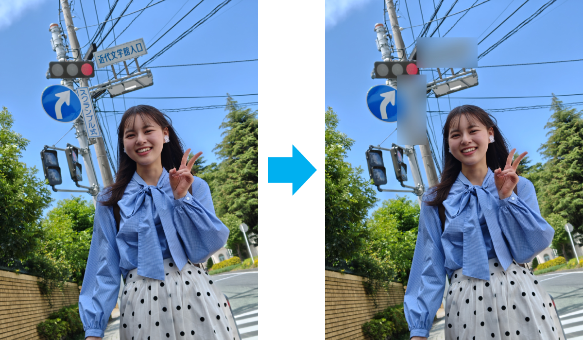 以隱私安全功能遮罩文字資訊